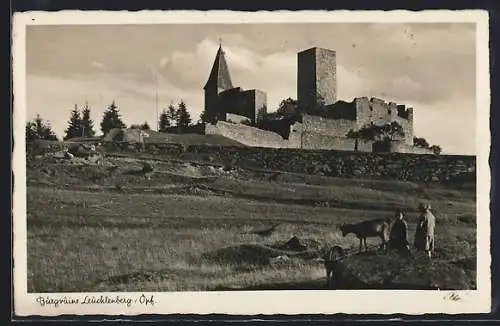 AK Leuchtenberg /Opf., Burgruine und Kinder mit Ziegen
