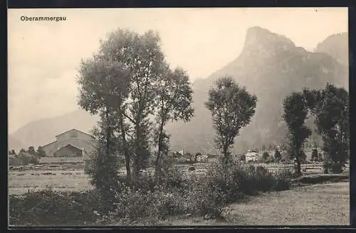 AK Oberammergau, Ortsansicht mit Bäumen