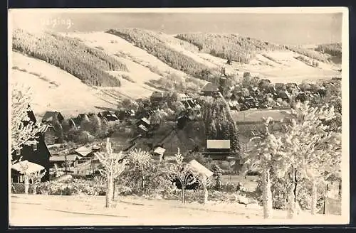 AK Geising, Ortsansicht im Schnee