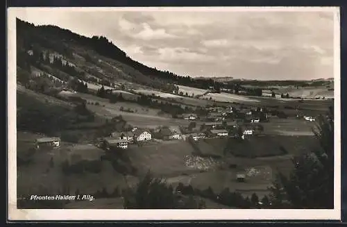 AK Pfronten-Halden i. Allg., Ortsansicht mit Feldern