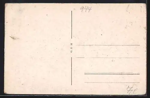 AK Vilshofen, Uferpartie mit Brücke