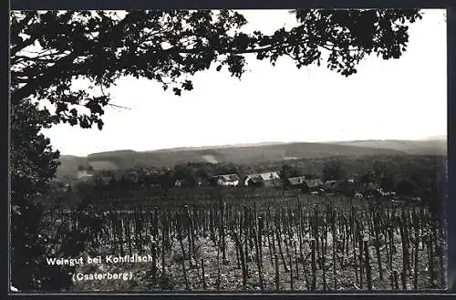 AK Kohlfidisch /Csaterberg, Weingut mit Blick auf den Ort