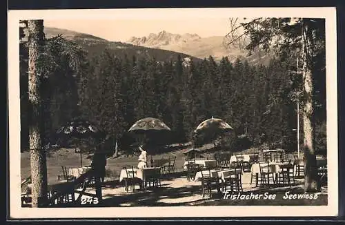 AK Tristacher See, Seewiese, Terrasse mit Gipfelblick