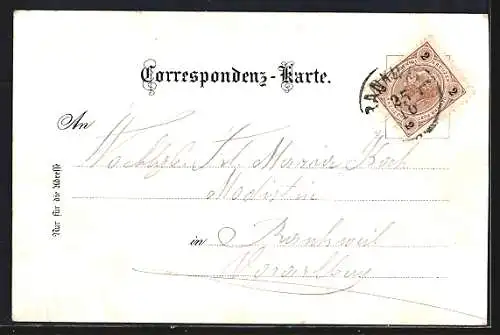 Lithographie Hinterbärenbad, Ortsansicht mit Bergen, Hüttenansicht