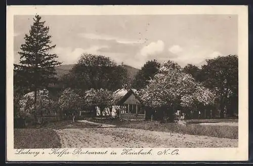 AK Hainbuch /N. Oe., Ludweys Kaffee-Restaurant A. Ludwey mit Umgebung