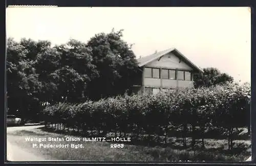 AK Illmitz-Hölle /Podersdorf, Weingut Stefan Gisch