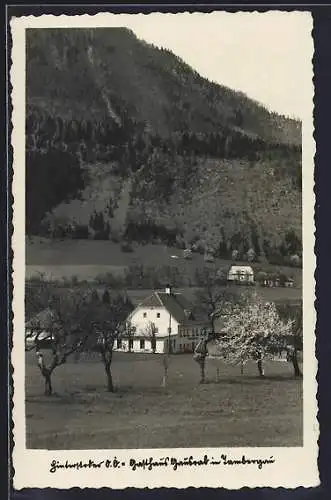 AK Hinterstoder /O. Ö., Gasthaus im Frühling
