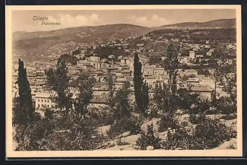 AK Trieste, Panorama