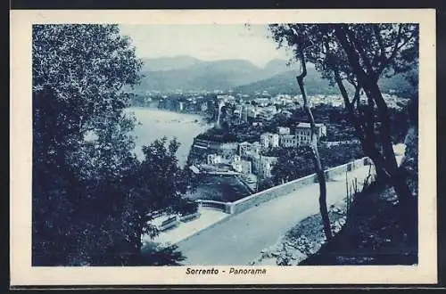 AK Sorrento, Panorama