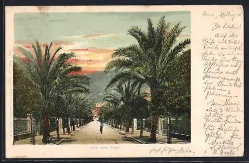 AK Nervi, Viale delle Palme