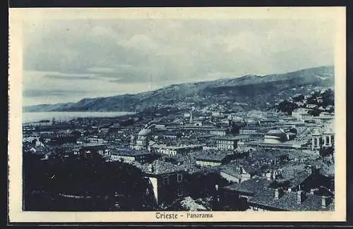 AK Trieste, Panorama