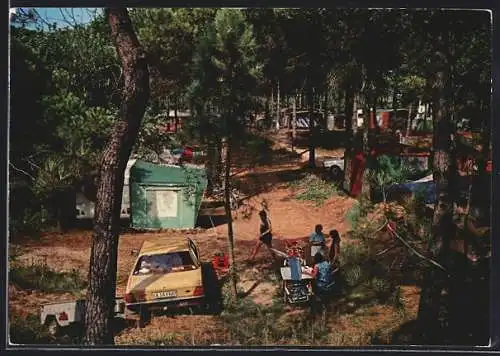 AK Lido di Spina, Camping Spina, Tende in Pineta