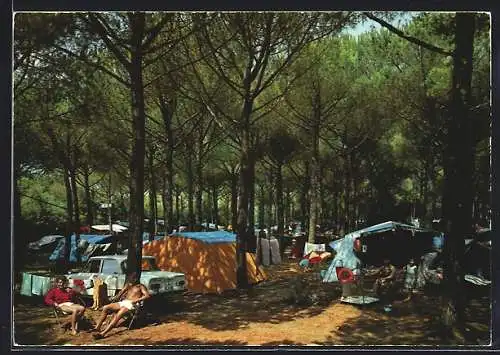 AK Marina di Bibbona /Livorno, International Camping