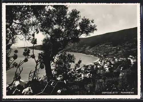 AK Ospedaletti, Panorama