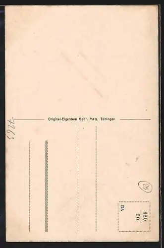 AK Liebenzell, Ortsansicht mit Missionshaus und Zelt