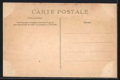 AK Paris, Crue de la Seine au Pont des Arts, 28 Janvier 1910