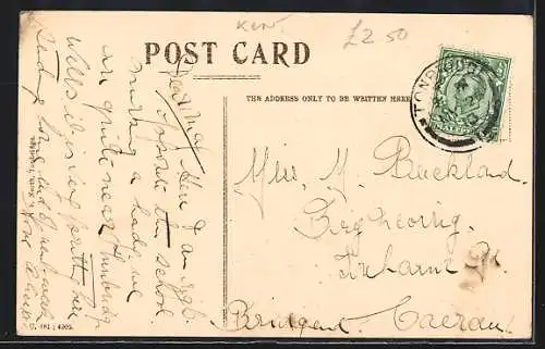 AK Tonbridge, The School