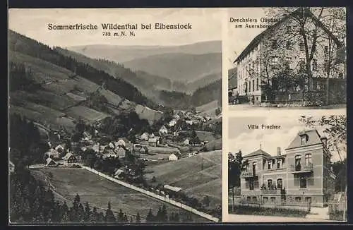 AK Wildenthal, Gasthaus Drechsler am Auersberg, Villa Fischer, Gesamtansicht
