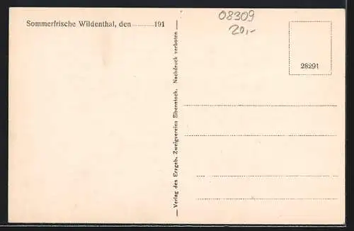 AK Wildenthal, Gasthaus Drechsler am Auersberg, Villa Fischer, Gesamtansicht