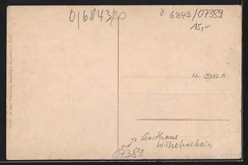 AK Ranis, Restauration Wilhelmshain, Inh. Otto Schumann, Burg, Krankenhaus und Gesamtansicht