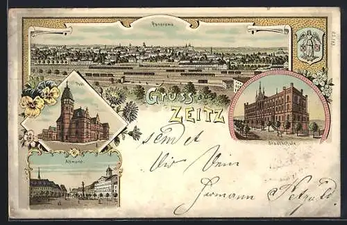 Lithographie Zeitz, Stadtschule, Post, Altmarkt, Panorama