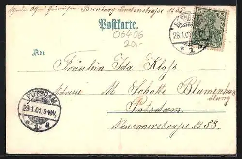 Lithographie Bernburg, Kriegerdenkmal, Bärenzwinger, Blick zum Ort