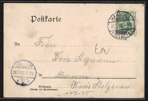 Künstler-AK Harburg, 25. Stiftungsfest der Liedertafel Sängerbund 1903, Wappen und Leier