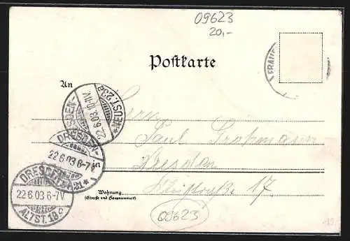 Lithographie Frauenstein / Erzgebirge, Schloss, Ruine, Marktseite, Hirsch