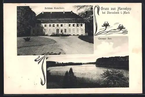 AK Harnekop /Sternebeck i. Mark, Schloss Monchoix, Grosser See, Seerosen