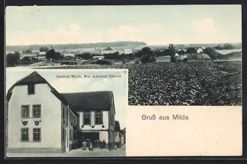 AK Milda, Gasthof v. Adalbert Bienert, Ortsansicht vom Feld aus