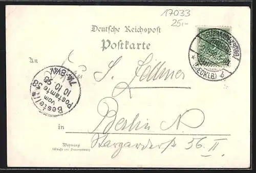 Lithographie Neubrandenburg, Gasthaus Brodaer Holz, Stargader Thor, Augusta Bad, Tollense-See, Fritz Reuter-Denkmal