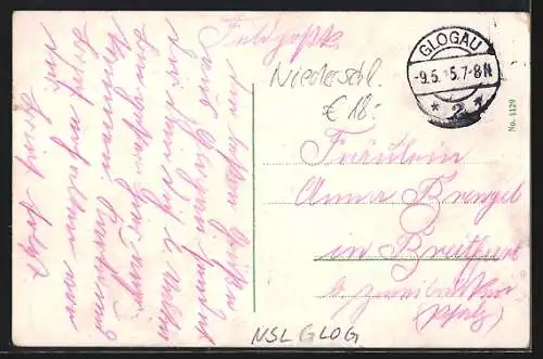 AK Glogau, Villen in der Wingenstrasse