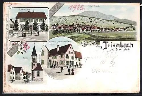 Lithographie Triembach bei Schlettstadt, Gasthaus zum goldnen Löwen v. A. Paulus, Kirche, Schulhaus, Totalansicht