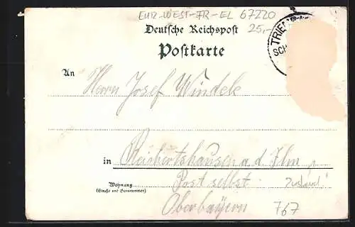 Lithographie Triembach bei Schlettstadt, Gasthaus zum goldnen Löwen v. A. Paulus, Kirche, Schulhaus, Totalansicht