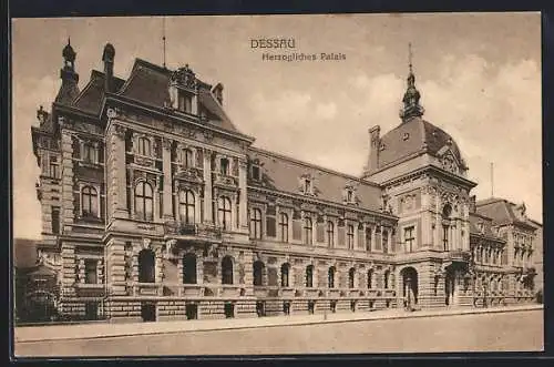 AK Dessau, Herzogliches Palais mit Strasse