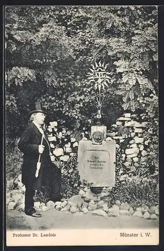 AK Münster i. W., Prof. Dr. Landois und Gedenkstein