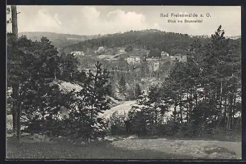 AK Bad Freienwalde a. O., Blick ins Brunnental