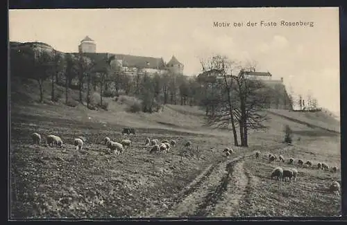 AK Kronach, Motiv bei der Feste Rosenberg