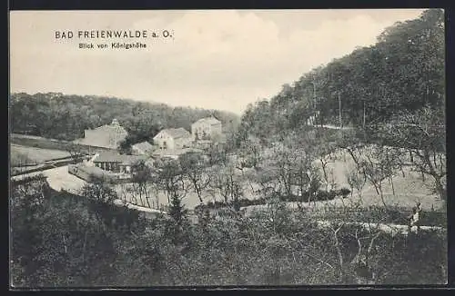AK Bad Freienwalde a. O., Blick von Königshöhe