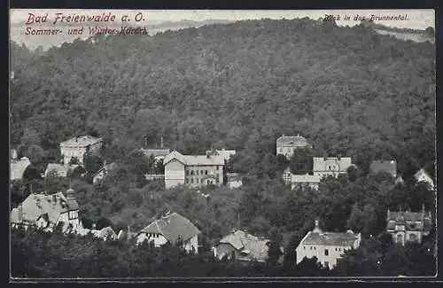 AK Bad Freienwalde a. O., Blick in das Brunnental