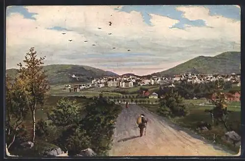 AK Bad Wildungen, Teilansicht von Süden