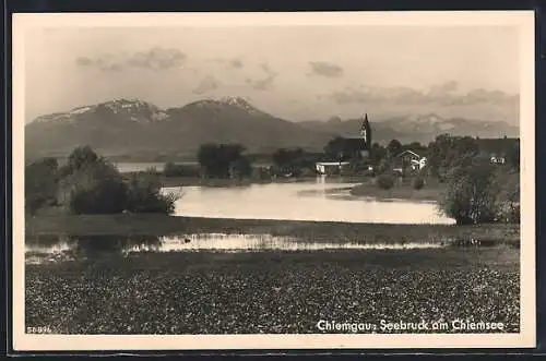 AK Seebruck am Chiemsee, Blick auf den Ort