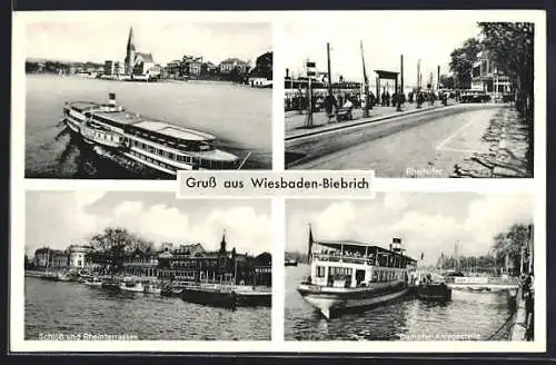 AK Wiesbaden-Biebrich, Rheinufer, Schloss und Rheinterrassen, Dampfer-Anlegestelle