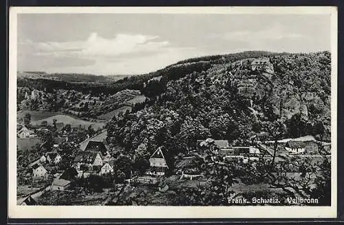AK Veilbronn /Fränk. Schweiz, Blick auf den Ort