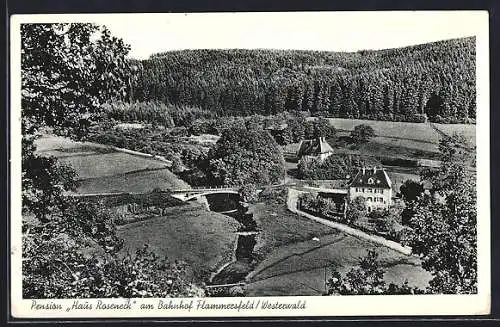 AK Flammersfeld /Westerwald, Blick auf den Ort mit Pension Roseneck