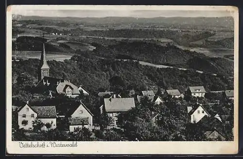 AK Vettelschoss i. Westerwald, Ortsansicht mit Bäumen