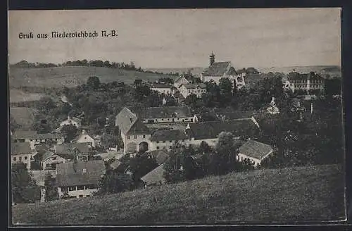 AK Niederviehbach /N.-B., Ortsansicht mit Feldern