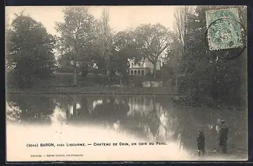 AK Baron, Château de Crin, un coin du parc