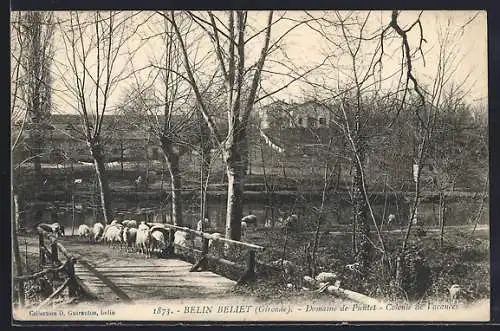 AK Belin-Béliet, Domaine de Painfat, Colonie de Vacances avec un troupeau de moutons sur un pont