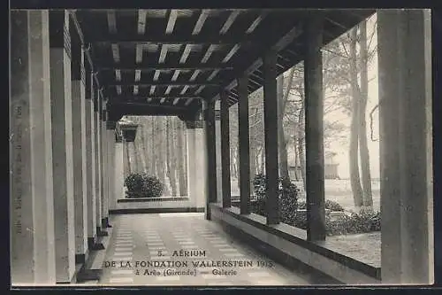 AK Arès, Aérium de la Fondation Wallerstein 1913, Galerie
